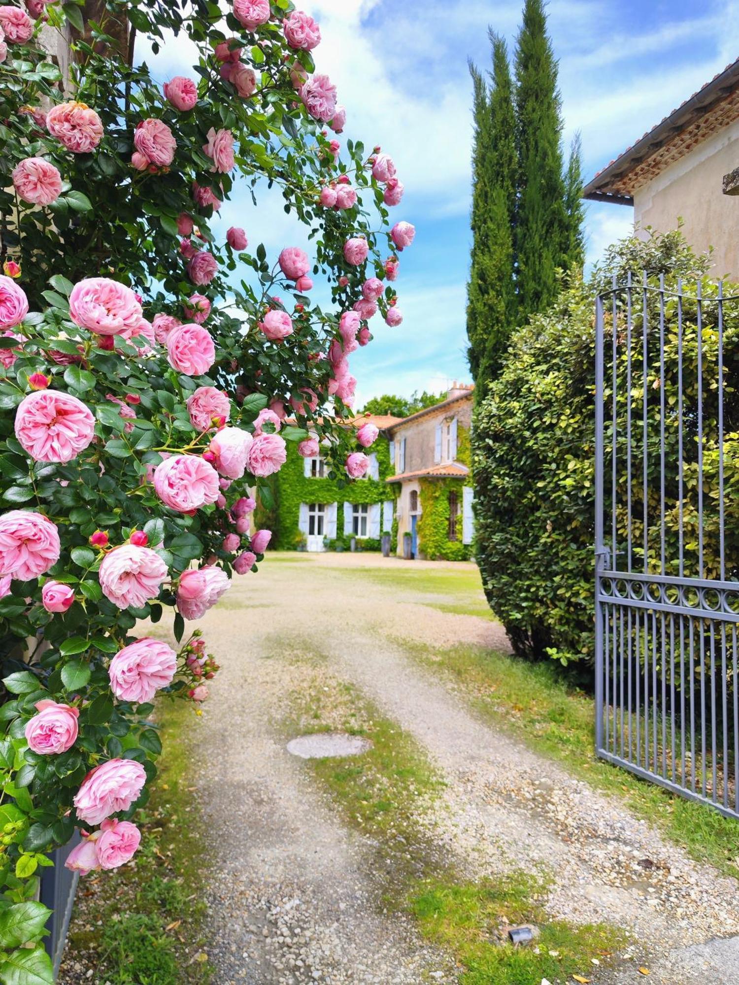 Hotel Chateau De Didonne Sémussac Eksteriør billede